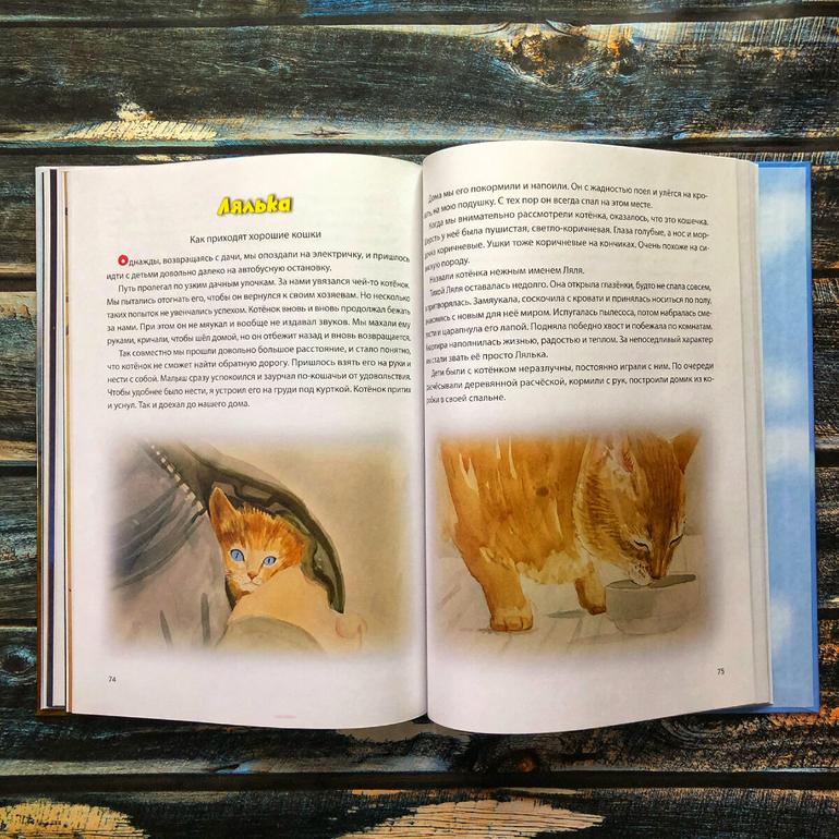 50 хороших книг. Большая подборка жанров и авторов на любой вкус. Фото №13