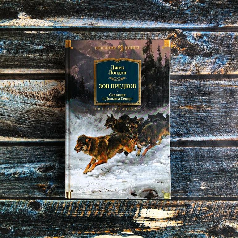 50 хороших книг. Большая подборка жанров и авторов на любой вкус. Фото №17