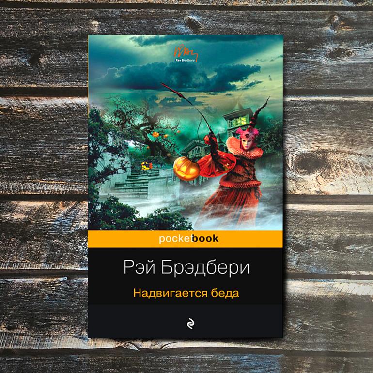 50 хороших книг. Большая подборка жанров и авторов на любой вкус. Фото №25