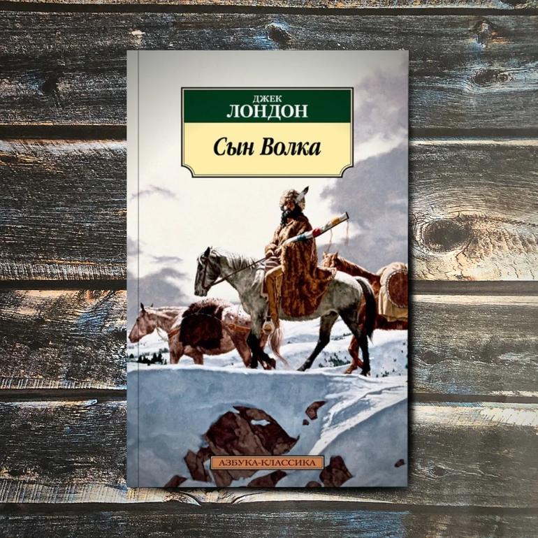 50 хороших книг. Большая подборка жанров и авторов на любой вкус. Фото №33