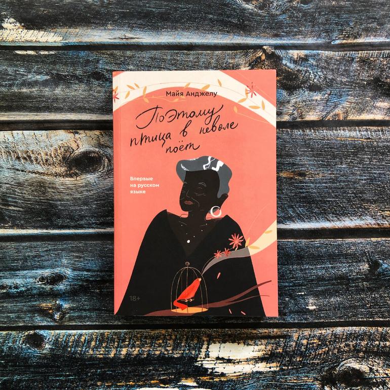 50 хороших книг. Большая подборка жанров и авторов на любой вкус. Фото №38